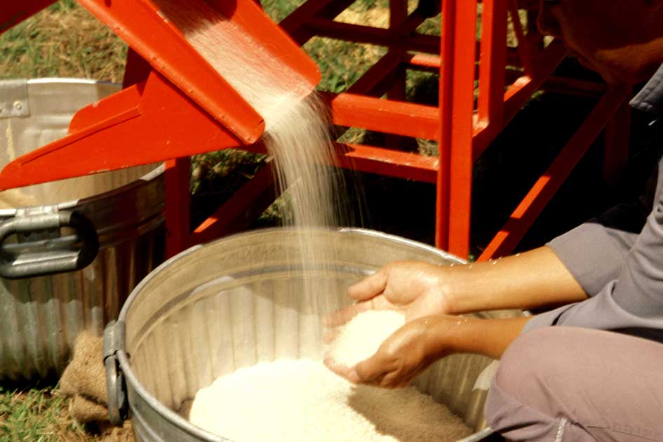 Best Rice Mill Consultant