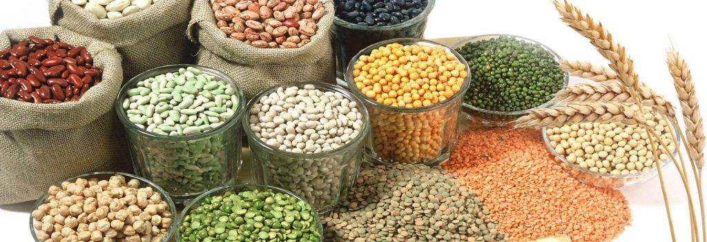 Different Types of Pulses/Lentils
