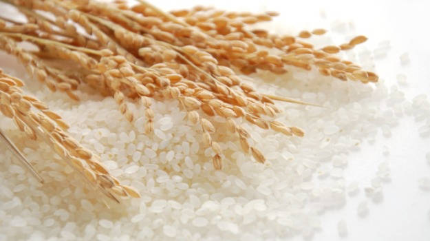 What Makes Rice Our Beloved Food Preference