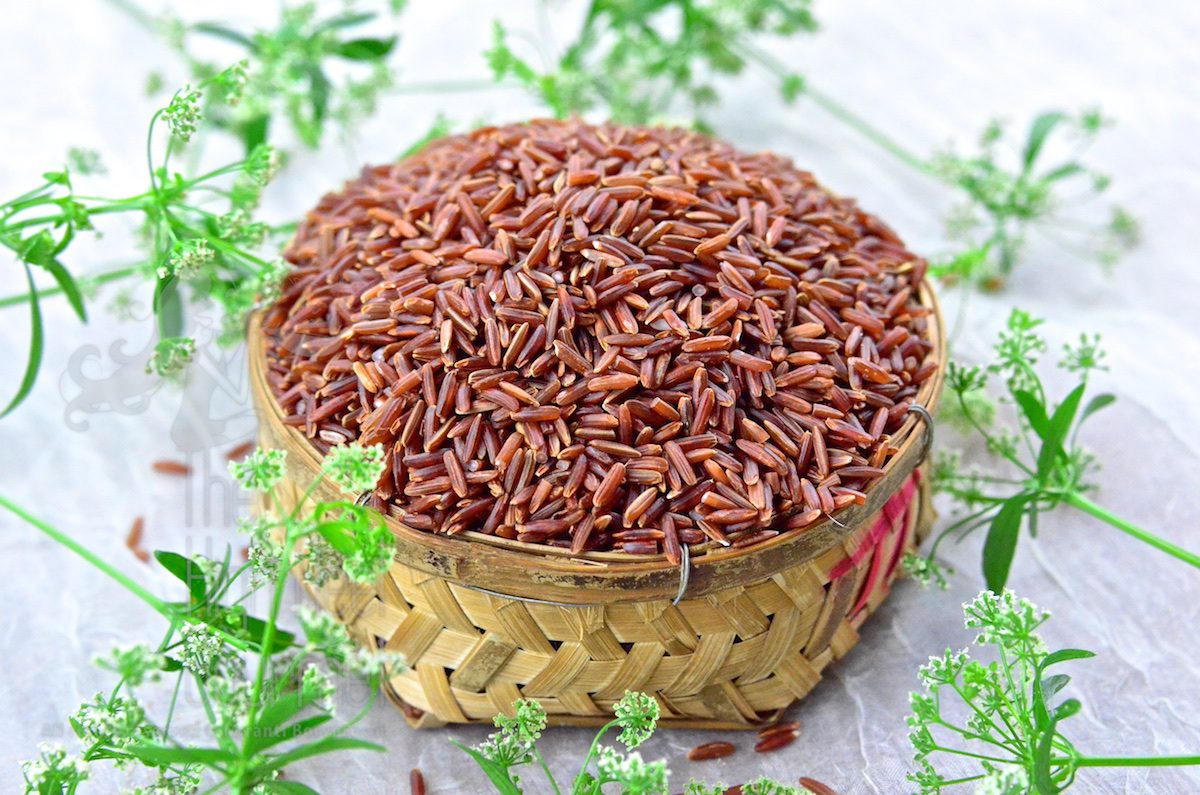 Red rice. Рис красный нешлифованный. Красный дрожжевой рис. Коричневый рис растение. Красный рис растение.