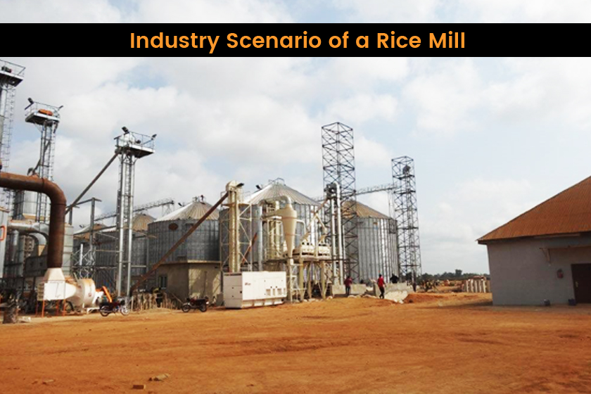 Rice Mill Plant, Rice Industry In India, Rice Processing Plant, Rice Mill Machinery, Rice Mill, Rice Mill Project Consultant, Rice Mill Design