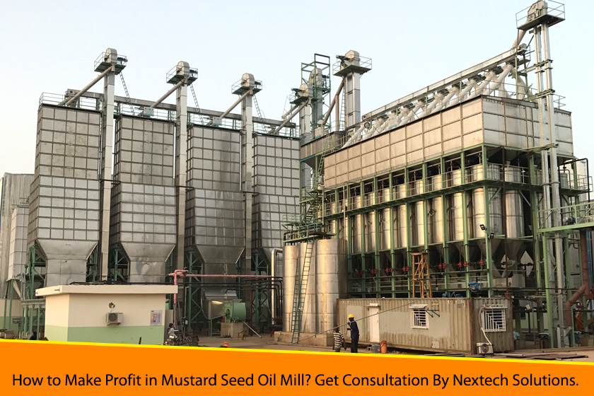 How to Make Profit in Mustard Seed Oil Mill? Get Consultation By Nextech Solutions.