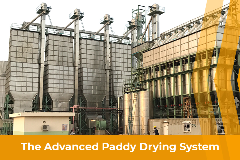 The Advanced Paddy Drying System