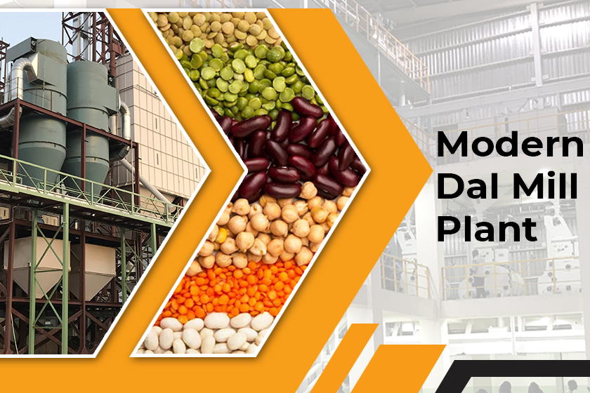 Modern Dal Mill Plant, Pulses/Dal Mill Plant