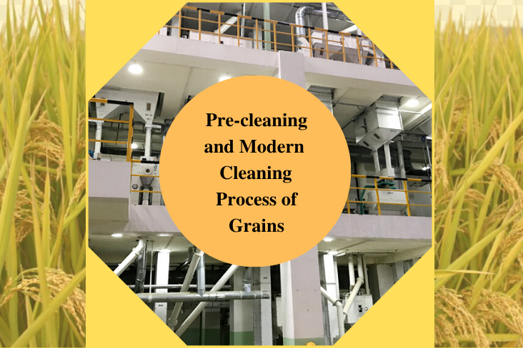 Pre-cleaning and Modern Cleaning Process of Grains