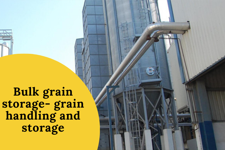 Bulk grain storage