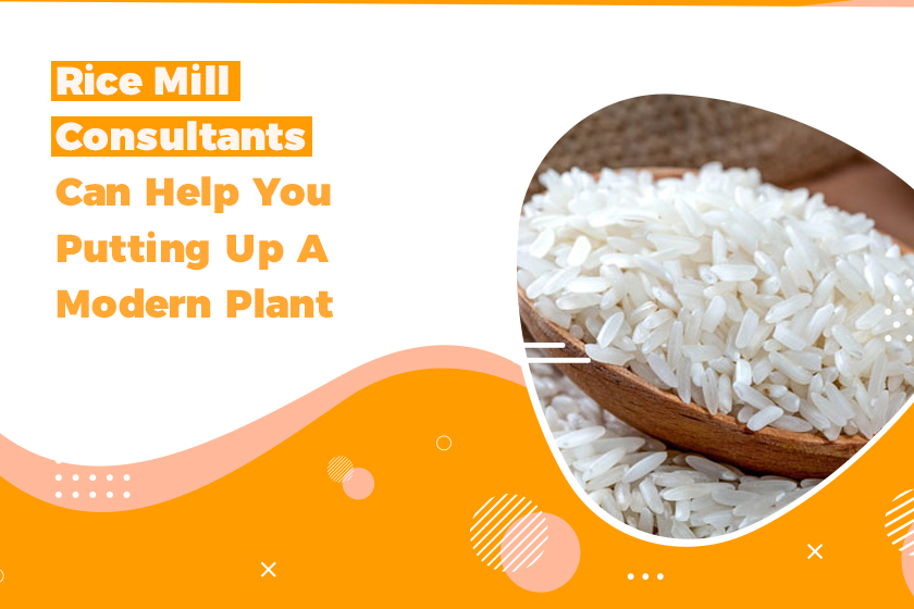 Rice Mill Consultants Can Help You Putting Up A Modern Plant