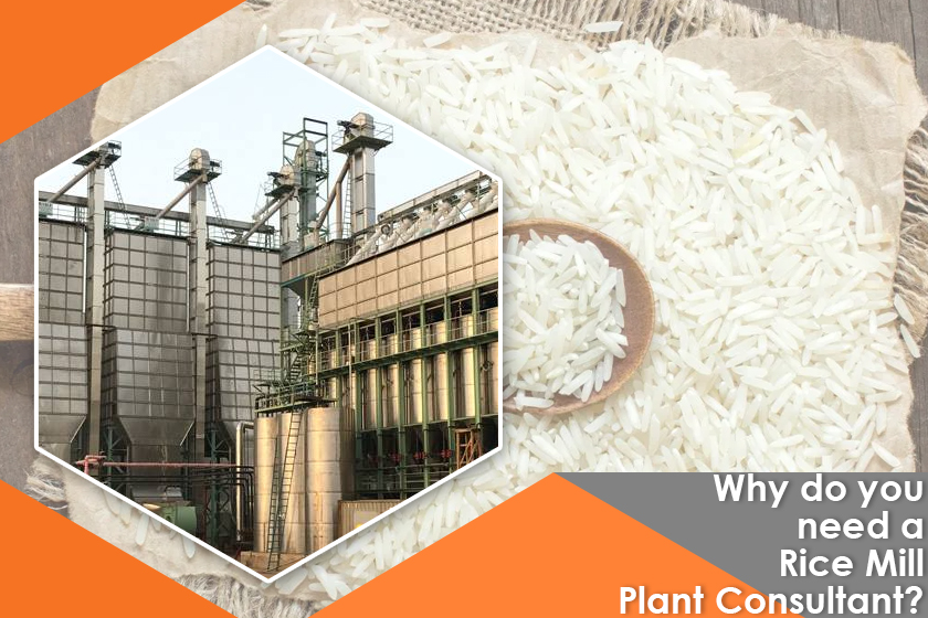 Why Do You Need A Rice Mill Plant Consultant
