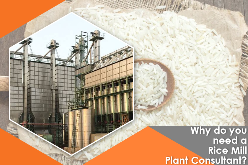 Rice Mill Plant Consultant