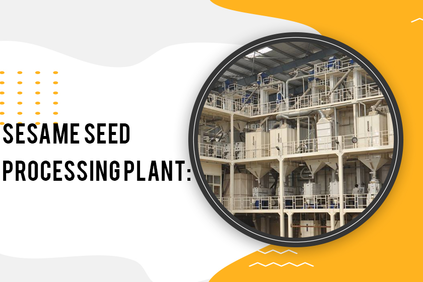 Sesame Seed Processing Plant