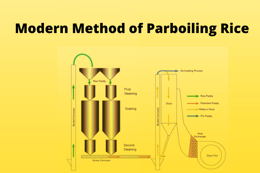 Modern Method of Parboiling Rice I Parboiled Rice Nextech