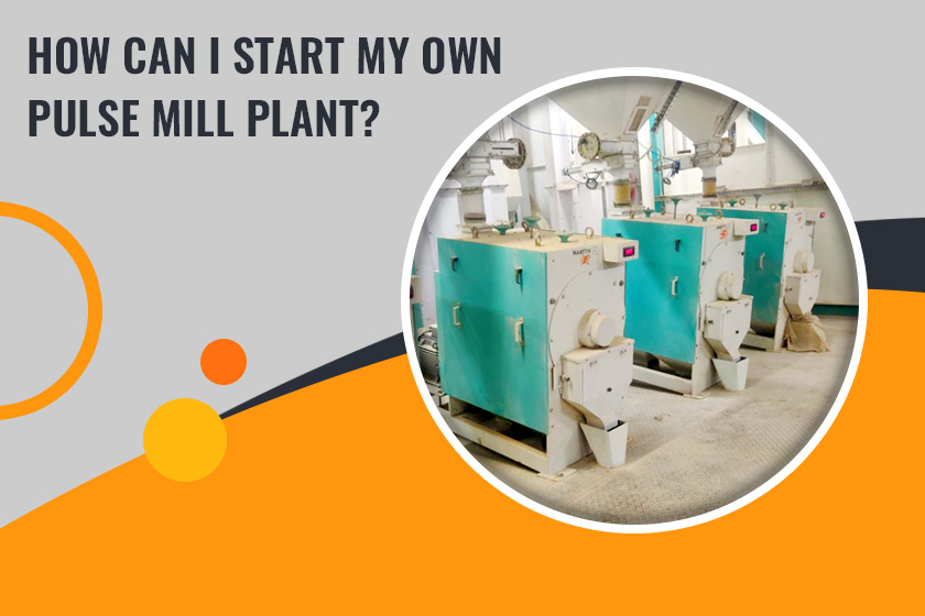 How Can I Start My Own Pulse Mill Plant