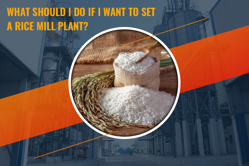 What Should I Do If I Want To Set a Rice Mill Plant