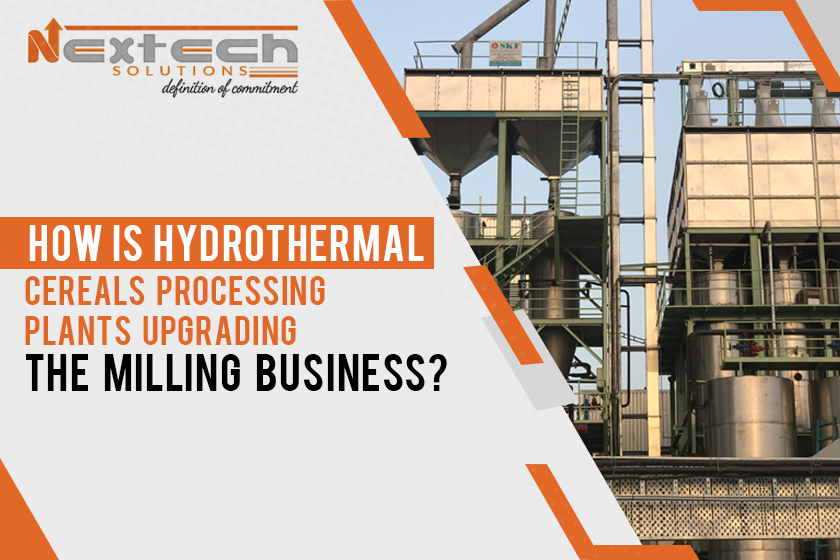  hydrothermal cereals processing plants
