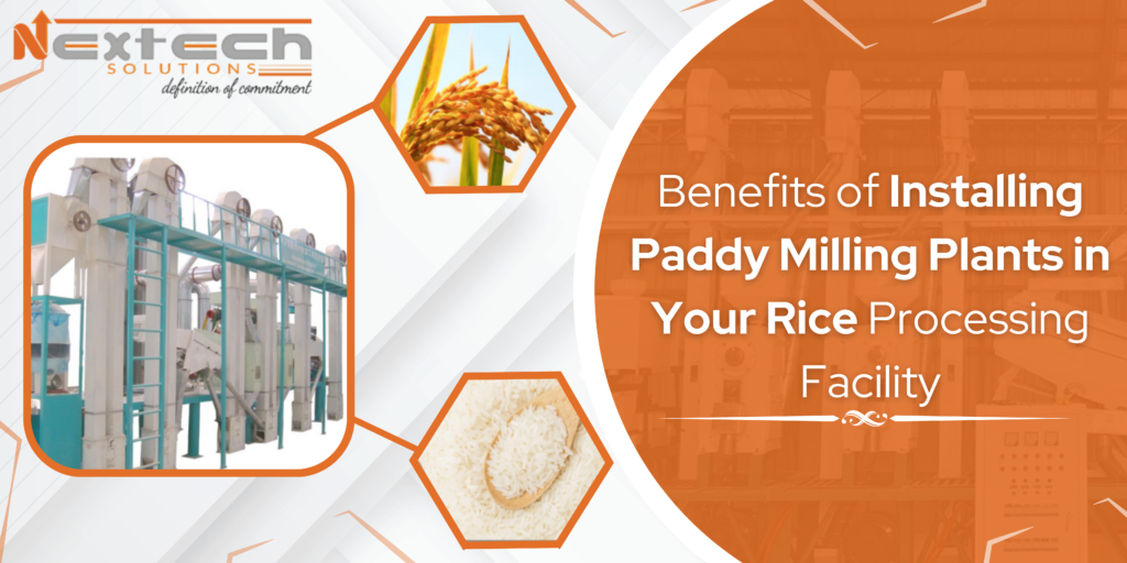 Benefits of Installing Paddy Milling Plants in Your Rice Processing Facility