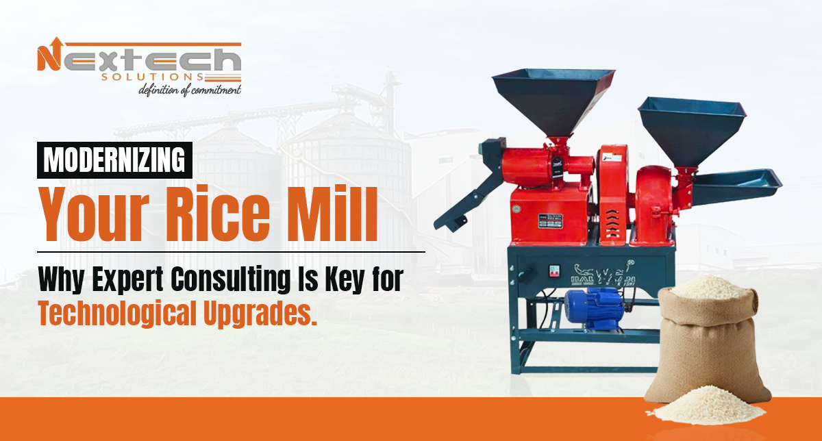 Modernizing Your Rice Mill: Why Expert Consulting Is Key for Technological Upgrades