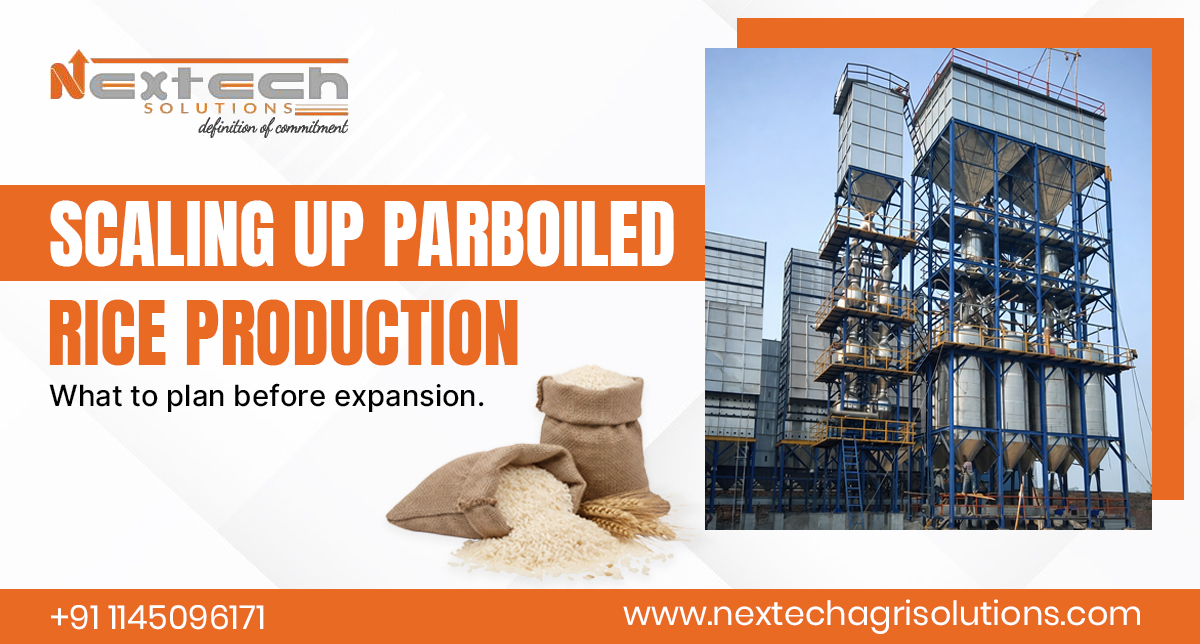 Scaling Up Parboiled Rice Production: What to Plan Before Expansion