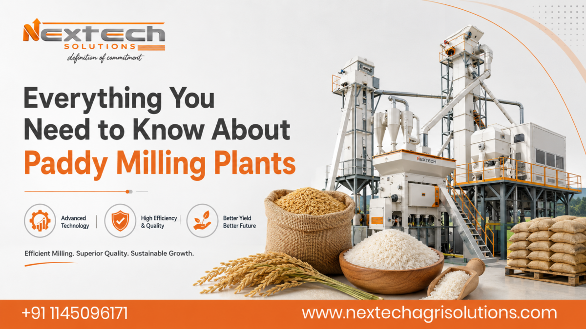 Paddy Milling Plants