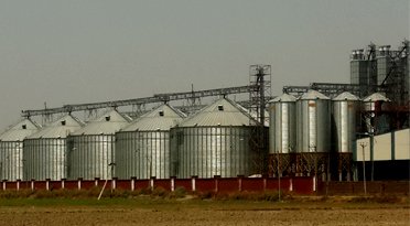 Bulk Grain Storage