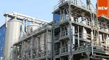 pressure parboiling Plant